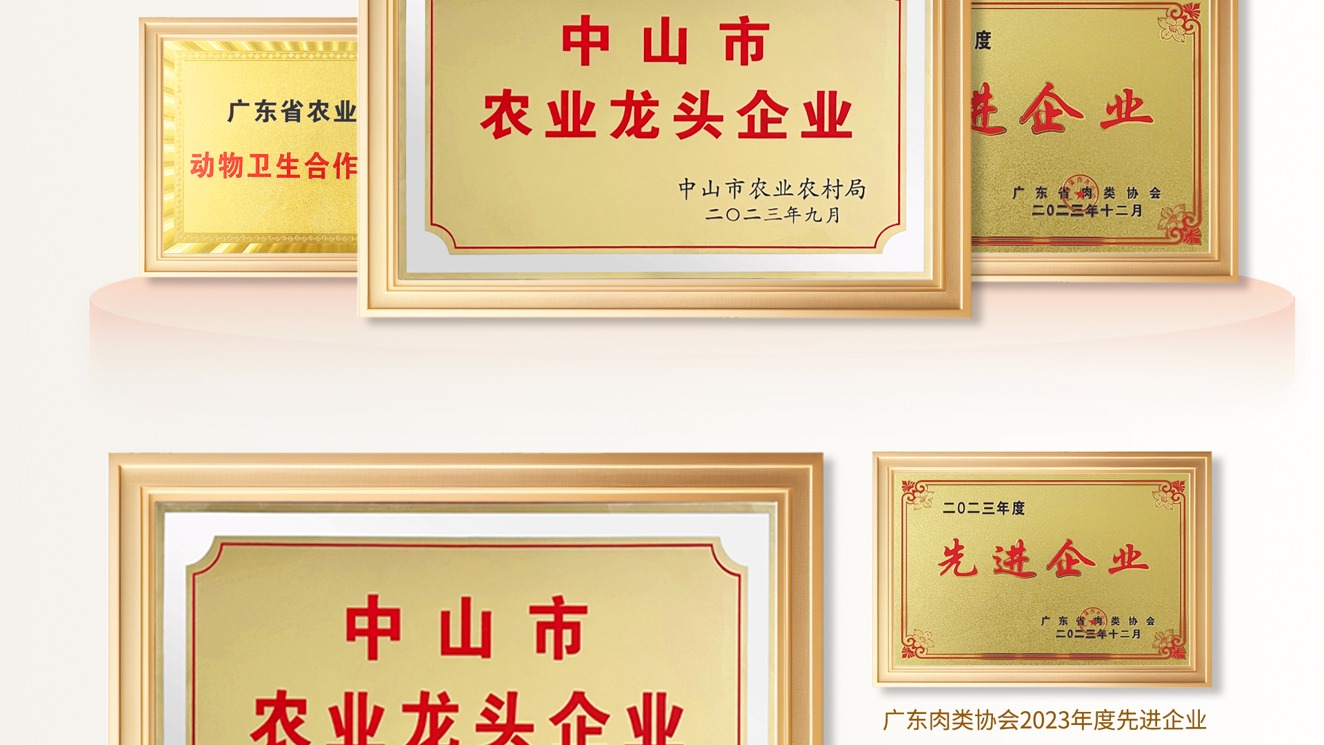 资质认证_02.jpg